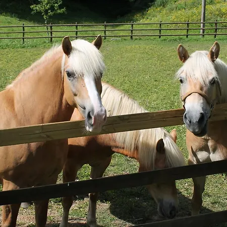 Ramandolo Club * Nimis