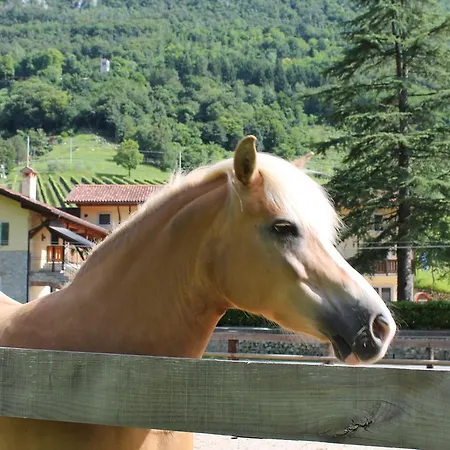 Venkovský dům Ramandolo Club Nimis