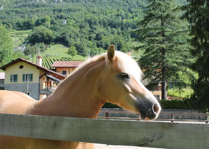 Casa de Campo Ramandolo Club Nimis